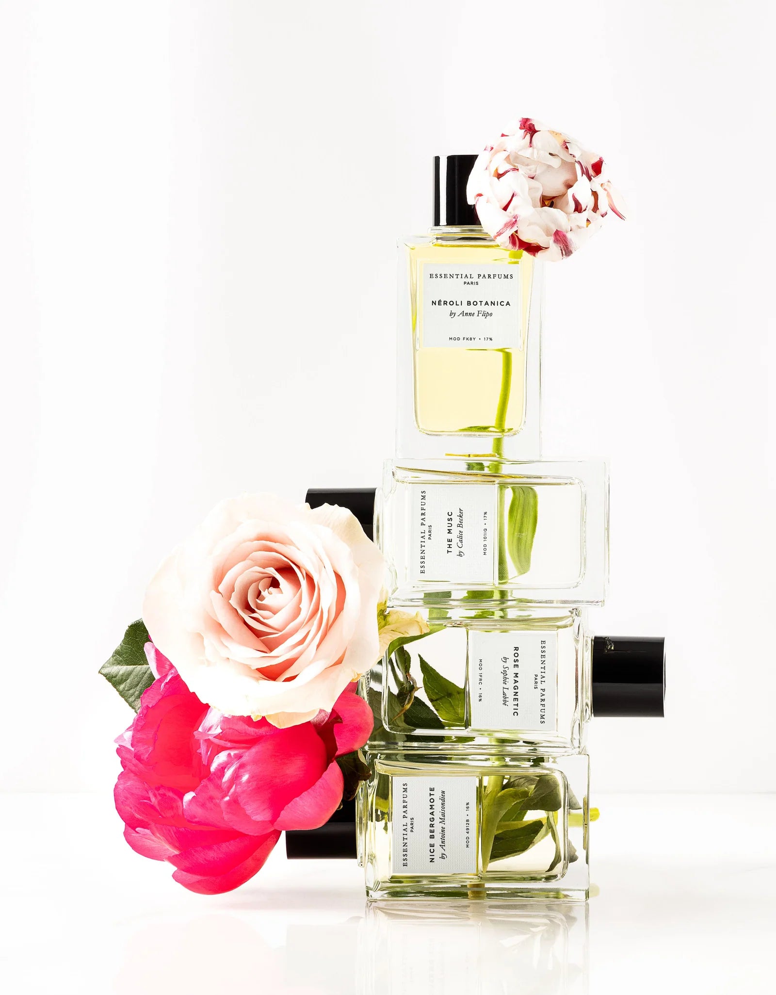Explore collection
