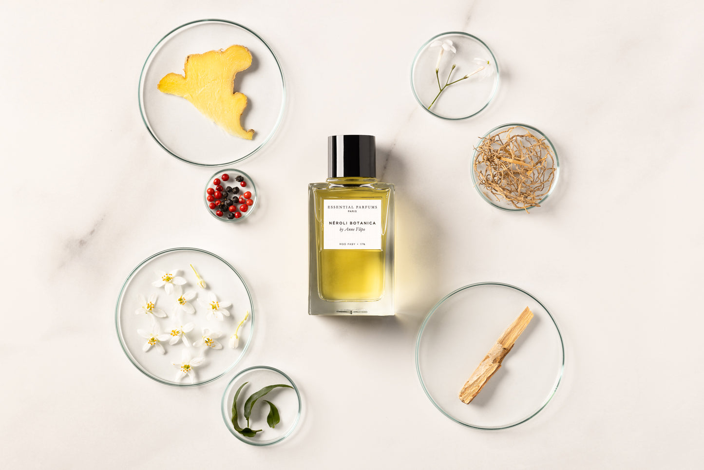 Essential Parfums 橙花淡香精香調成分圖