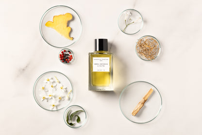 Essential Parfums 橙花淡香精香調成分圖