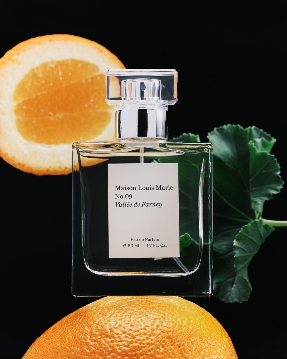 Maison Louis Marie No.09 Vallée de Farney 葡萄柚與岩蘭草香調表2