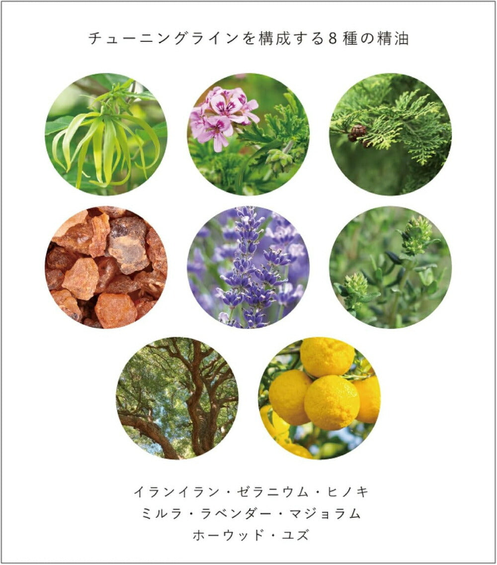 調理保濕沐浴露 溫和清潔與肌膚保濕成分